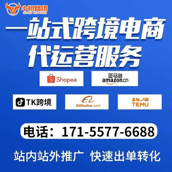 张家口电商代运营